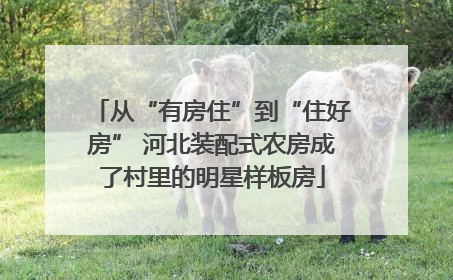 从“有房住”到“住好房” 河北装配式农房成了村里的明星样板房