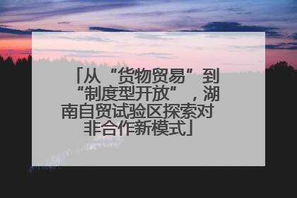 从“货物贸易”到“制度型开放”，湖南自贸试验区探索对非合作新模式