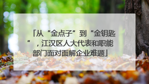 从“金点子”到“金钥匙”，江汉区人大代表和职能部门面对面解企业难题