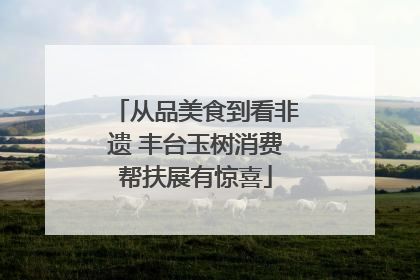 从品美食到看非遗 丰台玉树消费帮扶展有惊喜