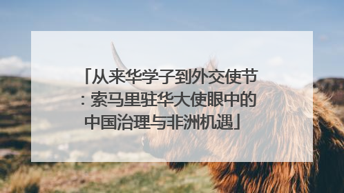 从来华学子到外交使节：索马里驻华大使眼中的中国治理与非洲机遇