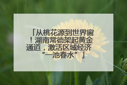 从桃花源到世界窗！湖南常德架起黄金通道，激活区域经济“一池春水”