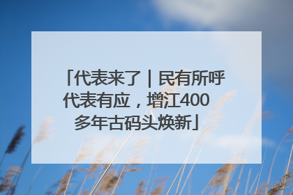 代表来了｜民有所呼代表有应，增江400多年古码头焕新