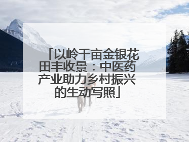 以岭千亩金银花田丰收景：中医药产业助力乡村振兴的生动写照