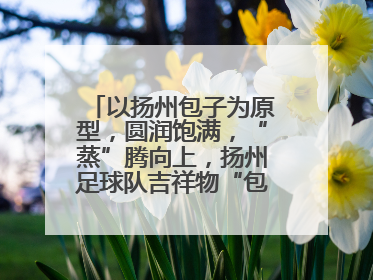 以扬州包子为原型，圆润饱满，“蒸”腾向上，扬州足球队吉祥物“包赢”亮相即售罄