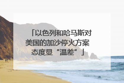 以色列和哈马斯对美国的加沙停火方案态度显“温差”