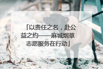 以责任之名，赴公益之约——麻城烟草志愿服务在行动