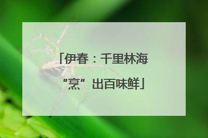 伊春：千里林海“烹”出百味鲜