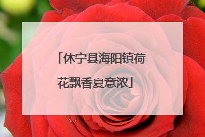休宁县海阳镇荷花飘香夏意浓