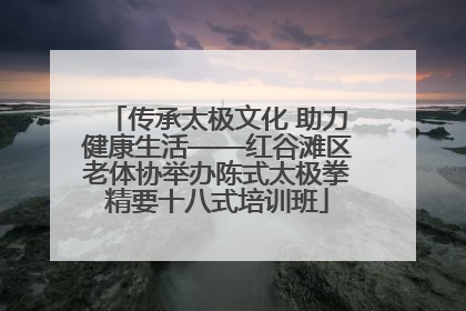 传承太极文化 助力健康生活——红谷滩区老体协举办陈式太极拳精要十八式培训班
