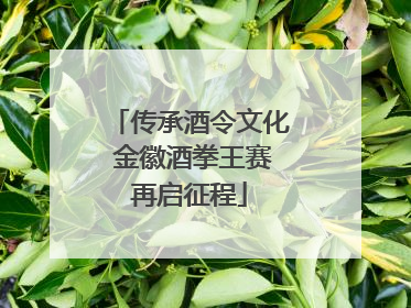 传承酒令文化 金徽酒拳王赛再启征程