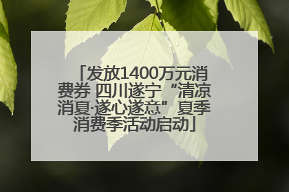 发放1400万元消费券 四川遂宁“清凉消夏·遂心遂意”夏季消费季活动启动
