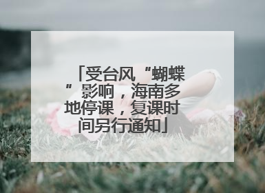 受台风“蝴蝶”影响，海南多地停课，复课时间另行通知