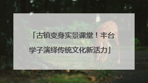 古镇变身实景课堂！丰台学子演绎传统文化新活力