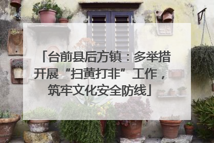 台前县后方镇：多举措开展“扫黄打非”工作，筑牢文化安全防线