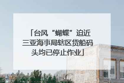 台风“蝴蝶”迫近 三亚海事局辖区货船码头均已停止作业
