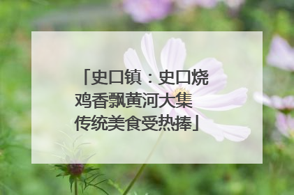 史口镇：史口烧鸡香飘黄河大集 传统美食受热捧