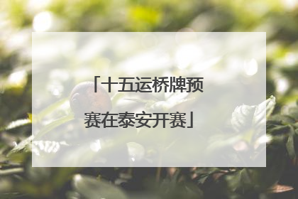 十五运桥牌预赛在泰安开赛