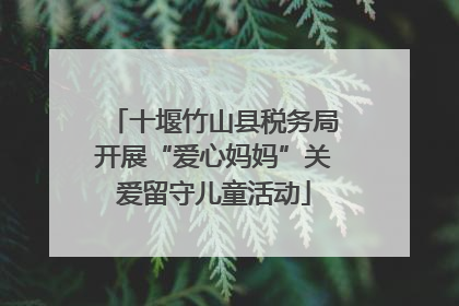 十堰竹山县税务局开展“爱心妈妈”关爱留守儿童活动