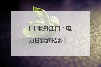 十堰丹江口：电力甘霖润桔乡