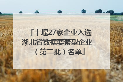 十堰27家企业入选湖北省数据要素型企业（第二批）名单