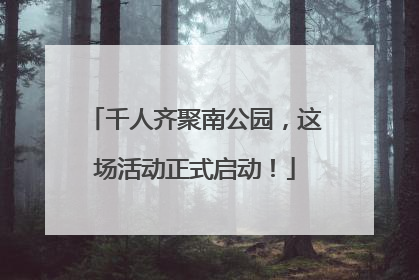 千人齐聚南公园，这场活动正式启动！