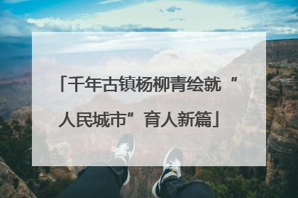 千年古镇杨柳青绘就“人民城市”育人新篇