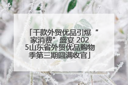 千款外贸优品引爆“家消费”盛宴 2025山东省外贸优品购物季第三期圆满收官
