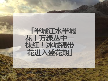 半城江水半城花丨万绿丛中一抹红！冰城锦带花进入盛花期