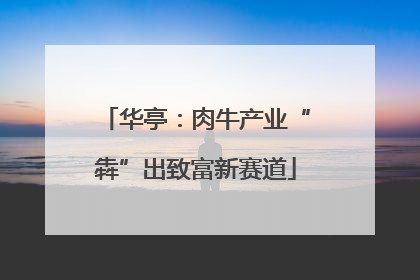 华亭：肉牛产业“犇”出致富新赛道