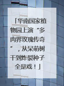 华南国家植物园上演“多肉界玫瑰传奇”，从呆萌树干到炸裂种子全是戏！