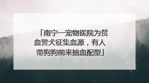 南宁一宠物医院为贫血警犬征集血源，有人带狗狗前来抽血配型