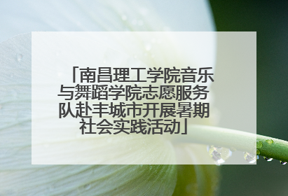 南昌理工学院音乐与舞蹈学院志愿服务队赴丰城市开展暑期社会实践活动