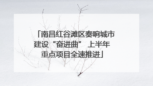 南昌红谷滩区奏响城市建设“奋进曲” 上半年重点项目全速推进