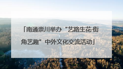 南通崇川举办“艺路生花·街角艺趣”中外文化交流活动
