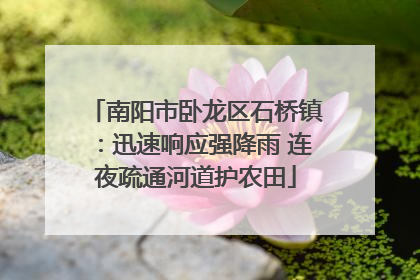 南阳市卧龙区石桥镇：迅速响应强降雨 连夜疏通河道护农田