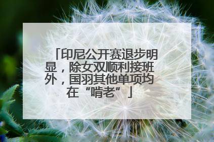 印尼公开赛退步明显,除女双顺利接班外,国羽其他单项均在“啃老”