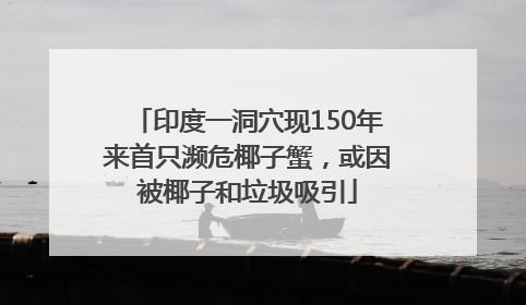印度一洞穴现150年来首只濒危椰子蟹，或因被椰子和垃圾吸引