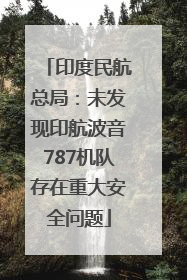 印度民航总局：未发现印航波音787机队存在重大安全问题
