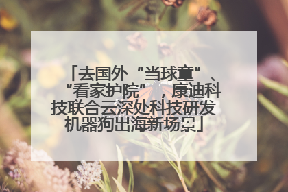 去国外“当球童”、“看家护院”，康迪科技联合云深处科技研发机器狗出海新场景