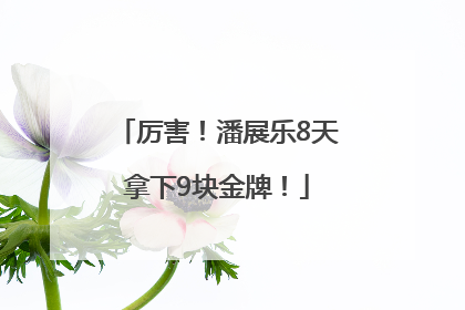 厉害！潘展乐8天拿下9块金牌！