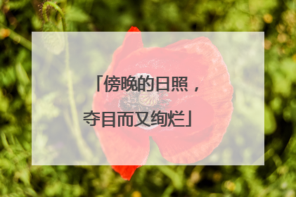 傍晚的日照，夺目而又绚烂