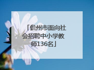 儋州市面向社会招聘中小学教师136名