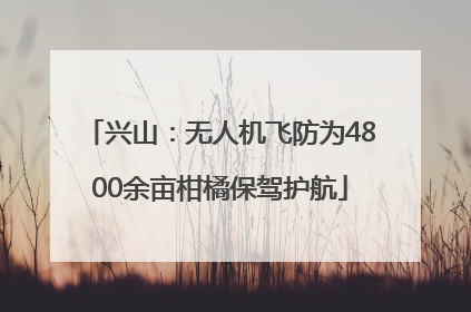兴山：无人机飞防为4800余亩柑橘保驾护航