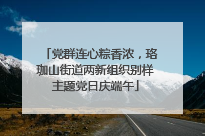 党群连心粽香浓，珞珈山街道两新组织别样主题党日庆端午