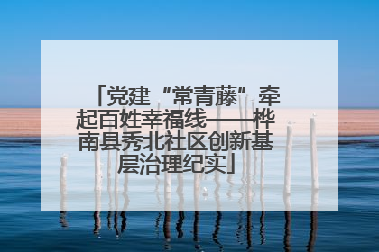 党建“常青藤”牵起百姓幸福线——桦南县秀北社区创新基层治理纪实