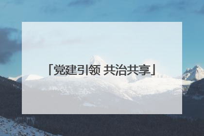 党建引领 共治共享