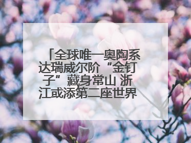 全球唯一奥陶系达瑞威尔阶“金钉子”藏身常山 浙江或添第二座世界地质公园