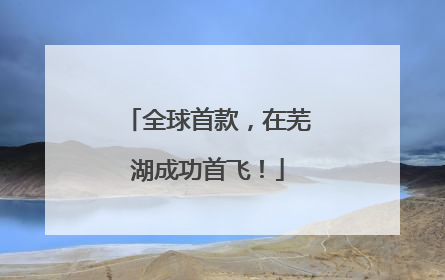 全球首款，在芜湖成功首飞！