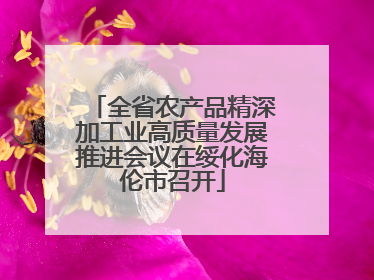 全省农产品精深加工业高质量发展推进会议在绥化海伦市召开